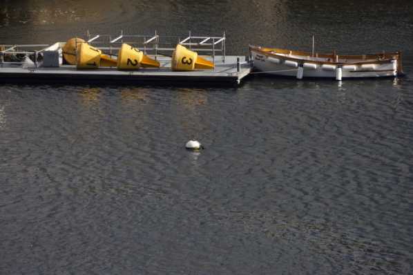 26 October 2020 - 11-24-54

--------------------------------
RDYC race marker buoys